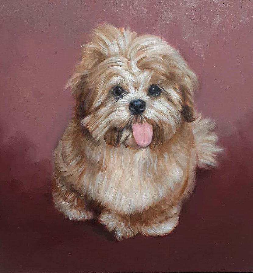 Retratos de Mascotas