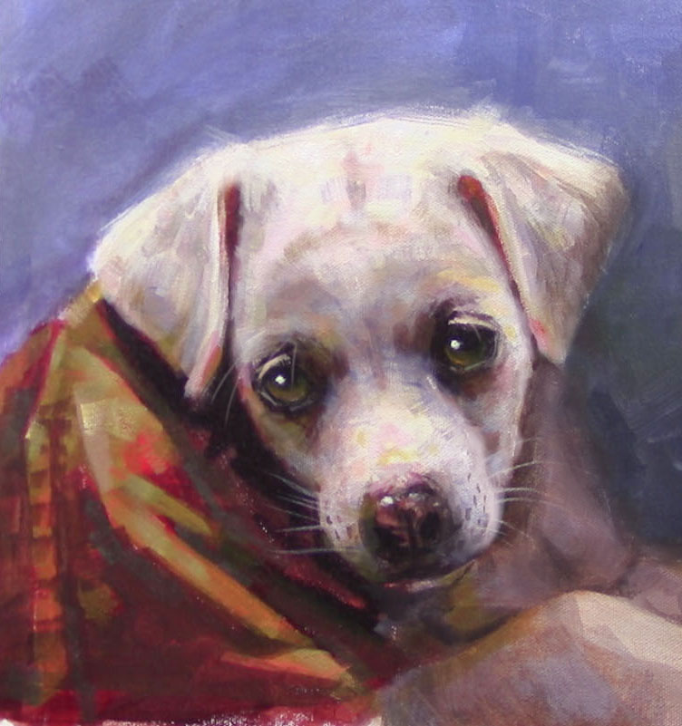 Arte para recordar a mi mascota 