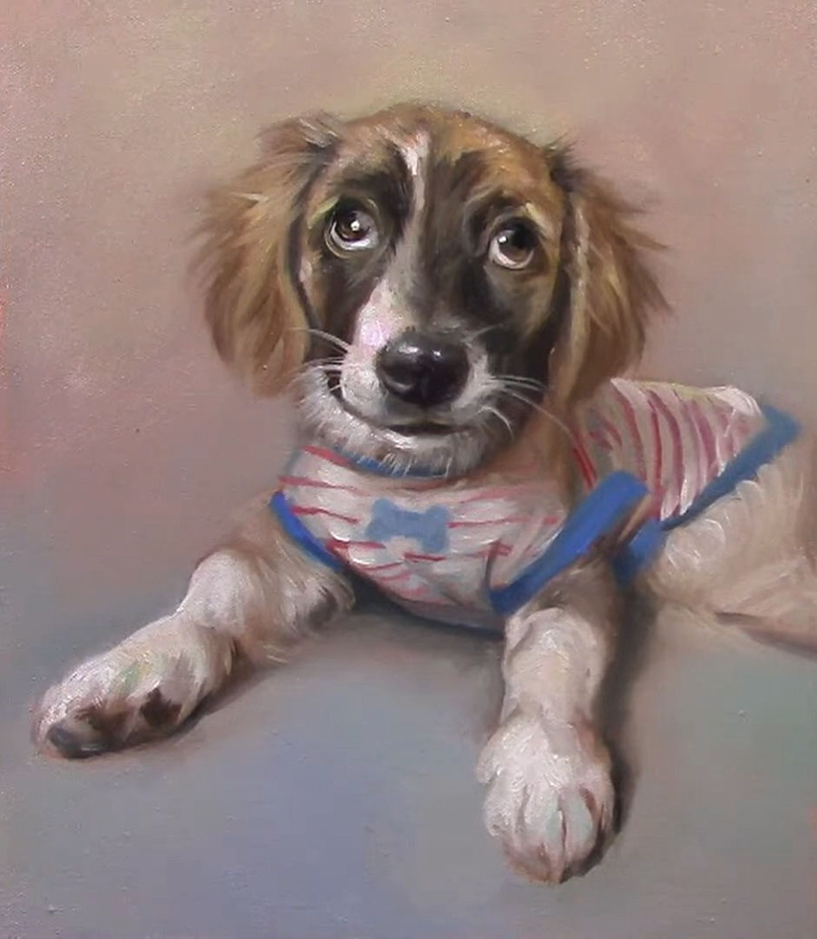 Retrato de Mascota para Regalo: Mira Cómo Cobran Vida en Vivo en YouTube