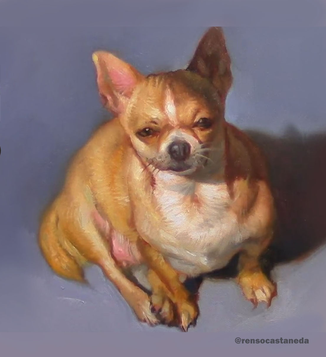 La Mascota Pintada: Paquita, la Chihuahua del Barrio