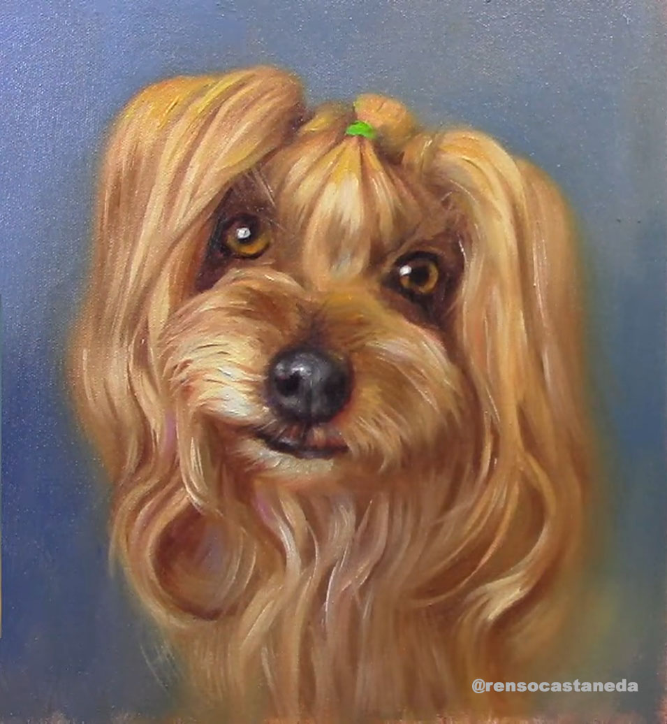 Frida María: Una Perrita con Estilo y Personalidad